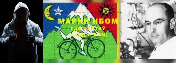 Альфа ПВП Ельня
