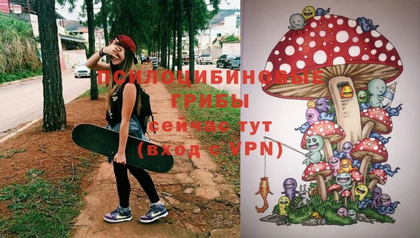 Альфа ПВП Ельня