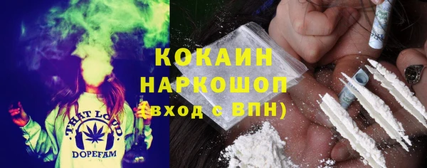 Альфа ПВП Ельня