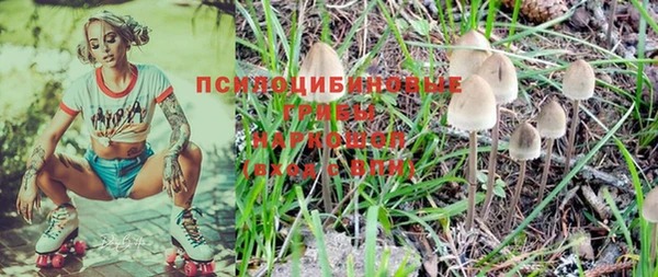 ПСИЛОЦИБИНОВЫЕ ГРИБЫ Осташков