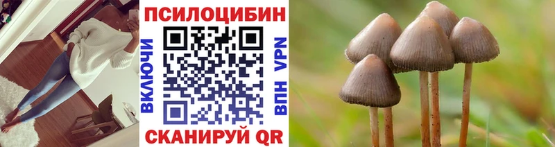Псилоцибиновые грибы прущие грибы  наркота  Пущино 